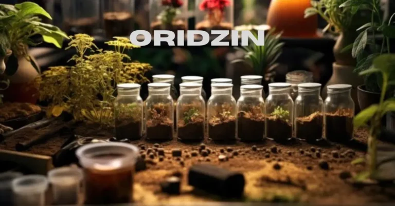 Oridzin