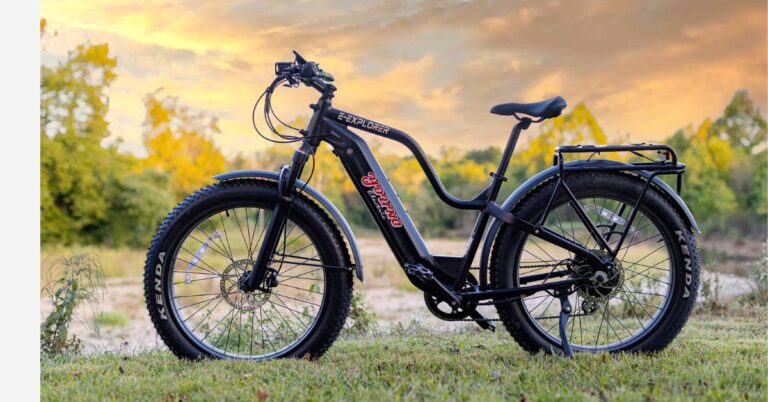 Fat Tire Ebike