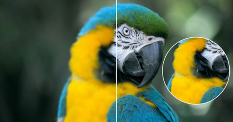 How to Enhance Photo Quality for Free