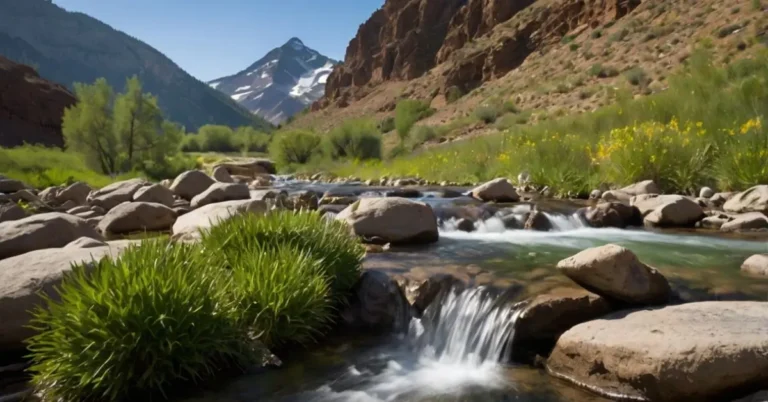 The Mountain Valley Spring Water