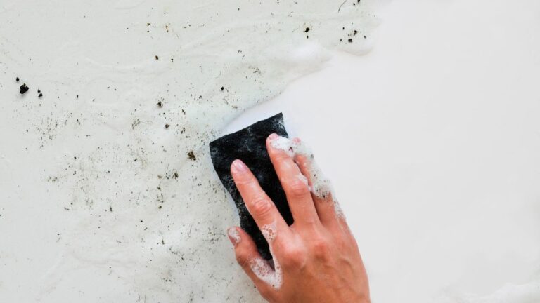 Mold in Your Home
