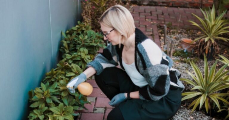 Xeriscaping