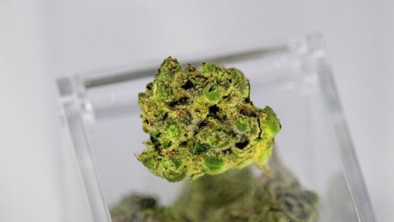 THCA and THC