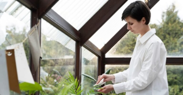 Clear Greenhouse Panels