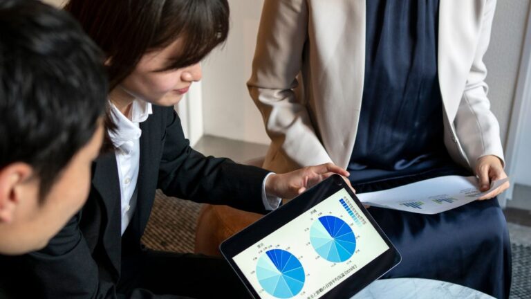 Professional Accounting Services Empower Small Enterprises