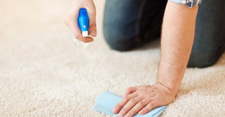 Clean Carpets Matter