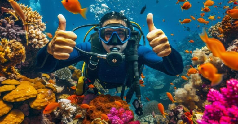 How to Enjoy the Best Marine Adventures in Cancún