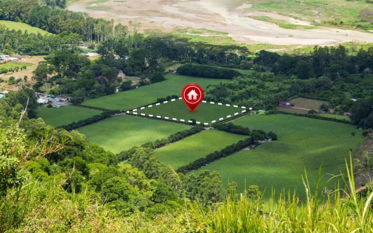 Real Estate Landscape