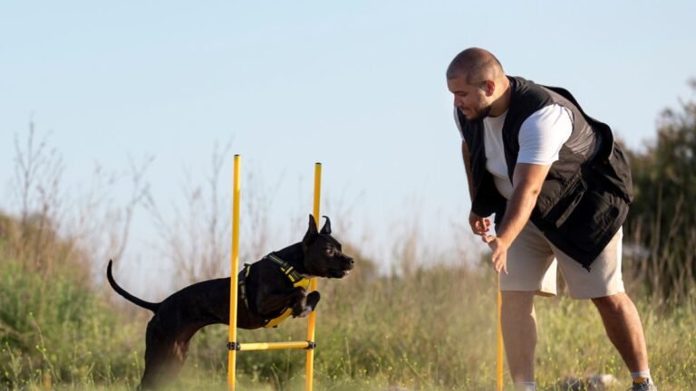 Positive Reinforcement