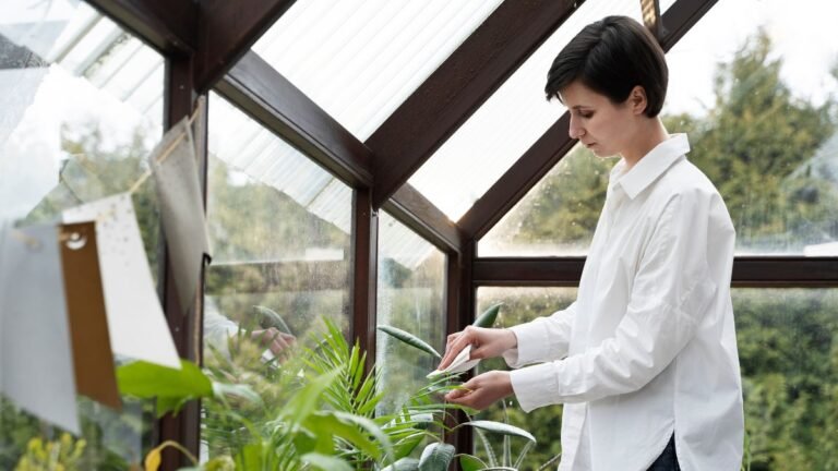 Eco-Friendly Window Solutions