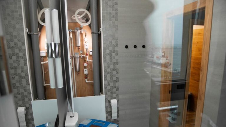 Modern Shower Door Design