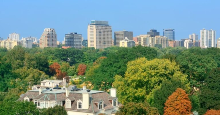 Austin Hope Cabernet