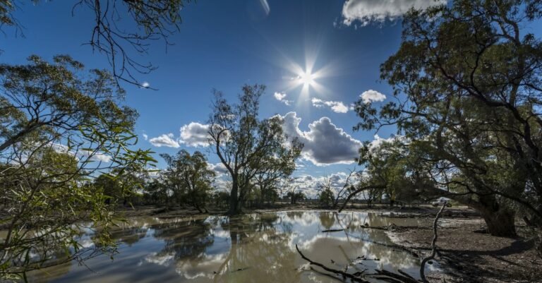 Central Florida Weather Shapes Septic